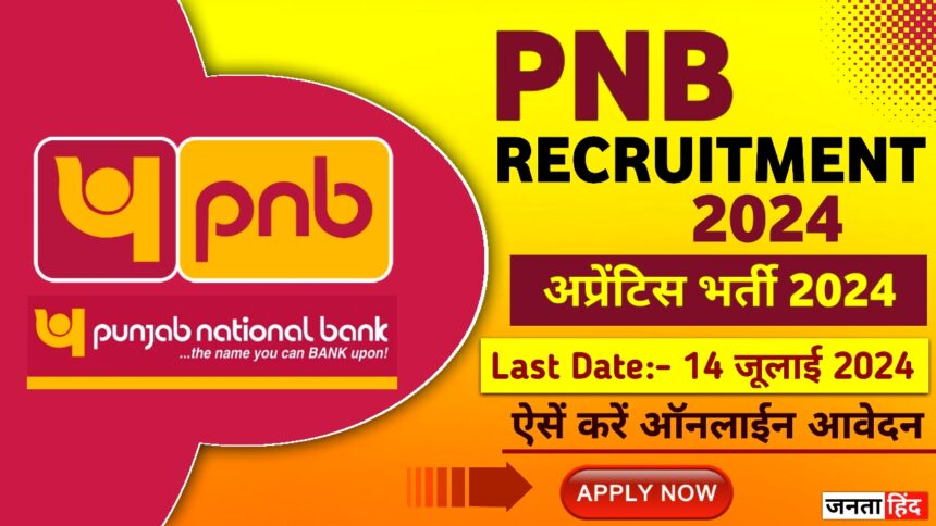 PNB Apprentice Recruitment 2024